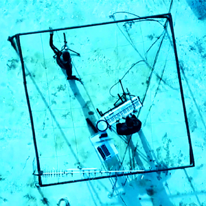 Zaamat Naamat (Leadership and Sheep)