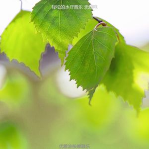 抚慰的蒸汽房回忆