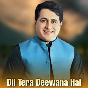 Dil Tera Deewana Hai