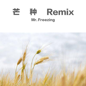 音阙诗听-芒种Remix（Mr. Freezing remix）