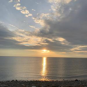 Jaeger ((The Hunter))