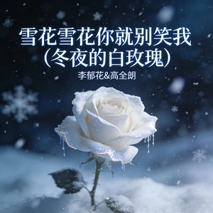 雪花雪花你就别笑我 (冬夜的白玫瑰)