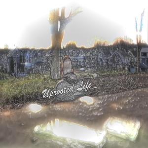 Come walk with me (feat. Hailey Hollinger)