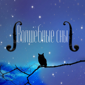 Звёздное небо