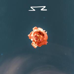 I'm Not Lonely Look At All These People