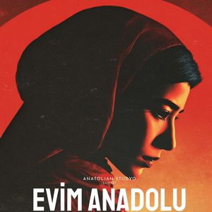 Küstürdüm Barışamam