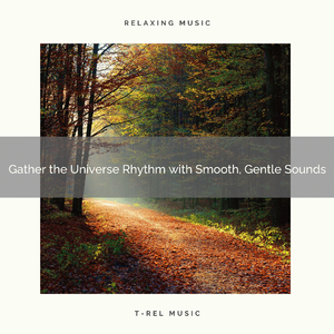 Gain the Peace with Relaxing, Selected Noises and Relax