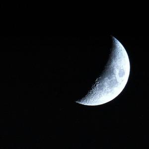 Moonligth