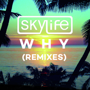 Why (Niko The Kid Remix)