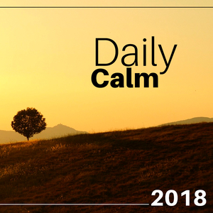 Daily Calm