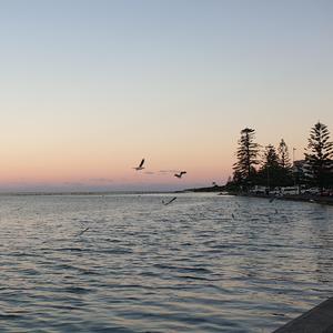 再見，阿蓉(那個房間版）