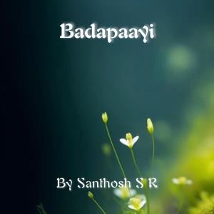 Badapaayi