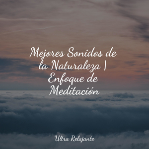 Himnos De La Pasión Por Los Viajes