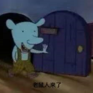 不会飞的老鼠（prod by19prdoboy)