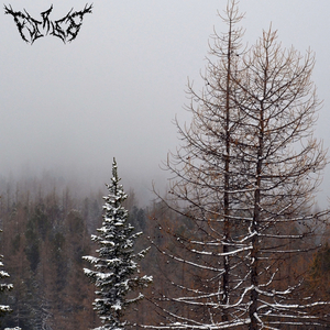 Пасмурный День