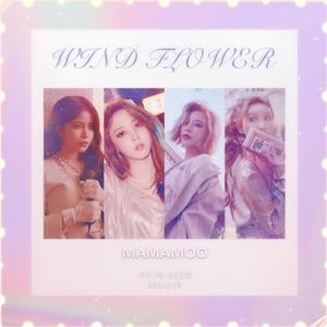 Wind Flower（翻自 妈妈木）