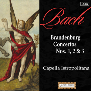 Brandenburg Concerto No. 2 in F Major, BWV 1047: II. Andante