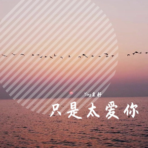 只是太爱你