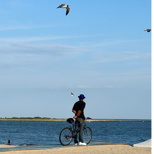 FARCE LYFE (ВЕЛИК)