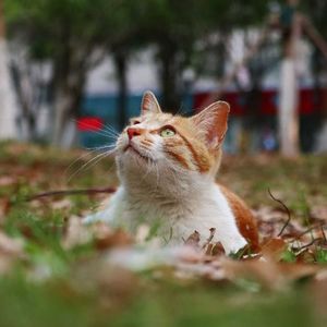 海边，日落和你