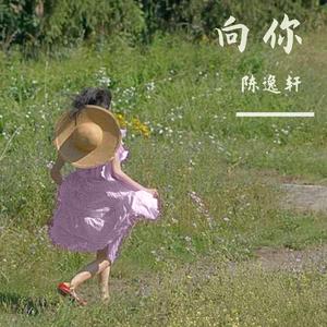 向你