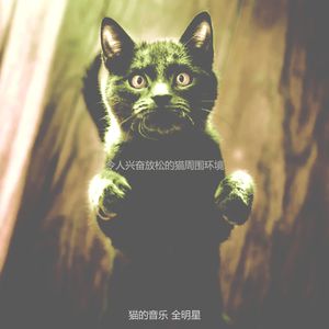 温和放松的猫梦想