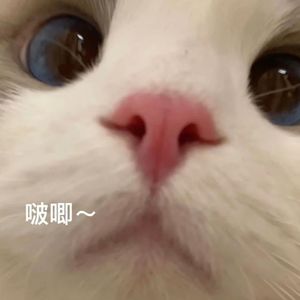 不喜欢下雨天（cover）