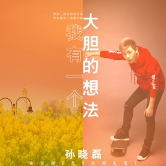 我有一个大胆的想法 (DJ沈念版)