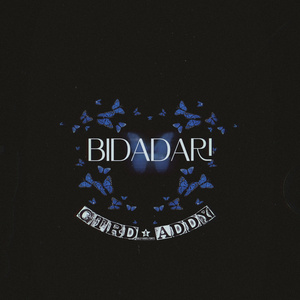 BIDADARI