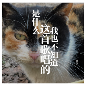 我也不知道这首歌唱的是什么