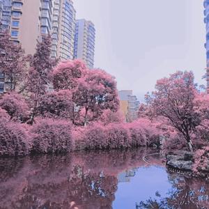 古画_20220406_115035