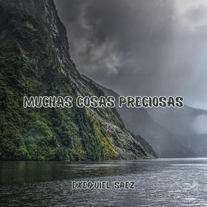 MUCHAS COSAS PRECIOSAS