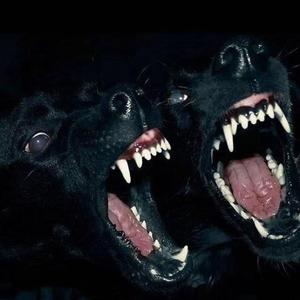 [FREE]"Mad Mad" Southside Type Beat