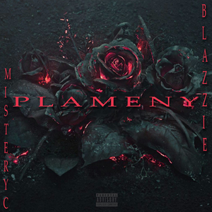 Plameny