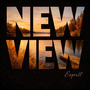 New View