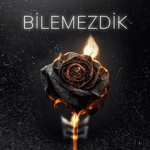 Bilemezdik
