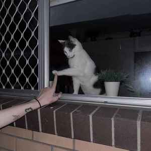 Tüm Bir Yaşam (Live)