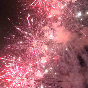 日不落（翻自 快乐阿飞）