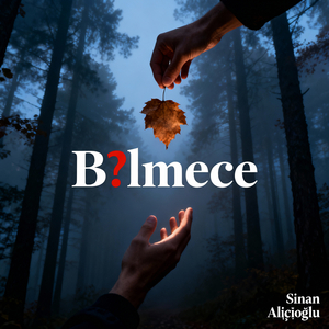 Bi̇lmece