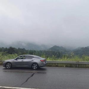 轻音乐 (开)
