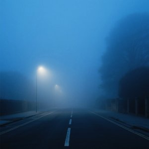 A Shoreline Without Footsteps