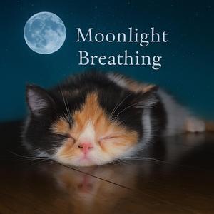 Beyond the Quiet Sky