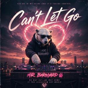Can't Let Go