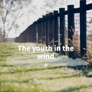 The youth in the wind