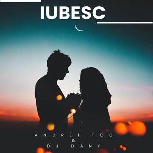 Iubesc (feat. Dj Dany)