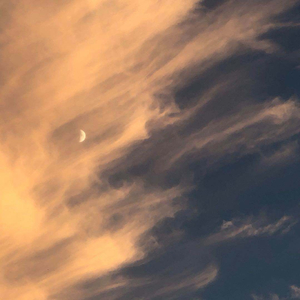 别 在 凌 晨 的 雨 里 想 念