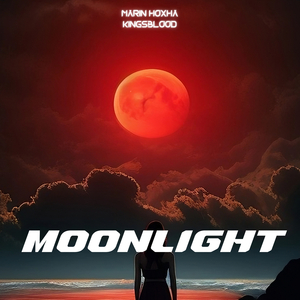Moonlight (Slowed + Reverb)
