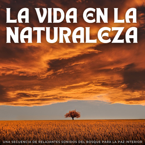 Un Poco De Tiempo Para Mí