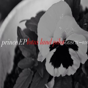 Prince (Original Mix)