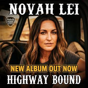 One Shot At The Lights